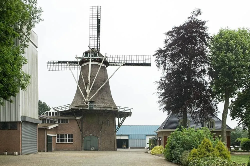 Oldebroek: Overzicht van de molen - Oldebroek - 20420908 - RCE