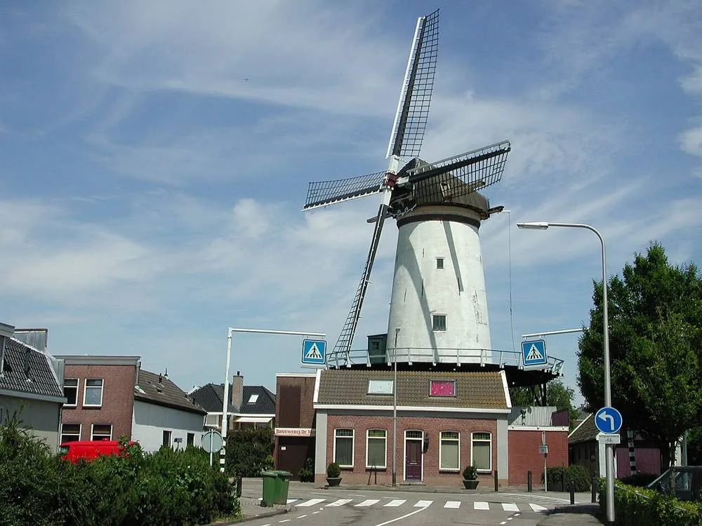 Bodegraven: Arkduif